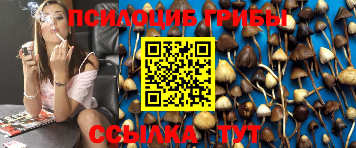 Псилоцибиновые грибы MAGIC MUSHROOMS Набережные Челны