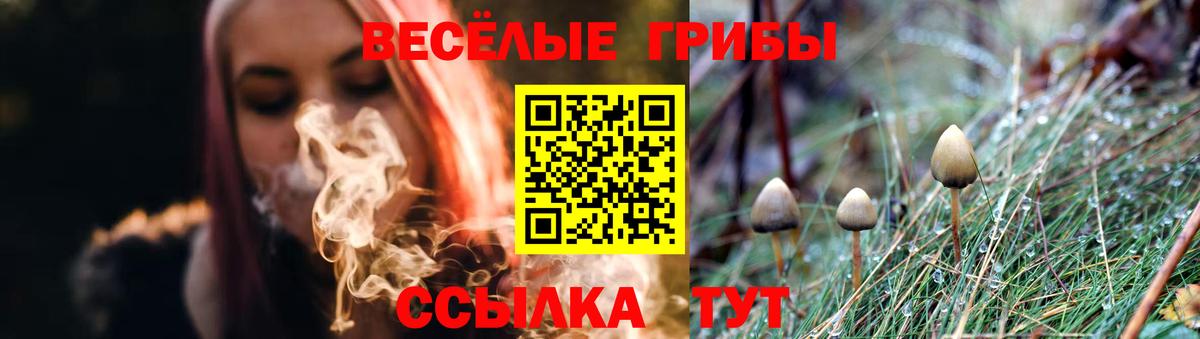 Галлюциногенные грибы Magic Shrooms  Вход с VPN  как найти   Набережные Челны 